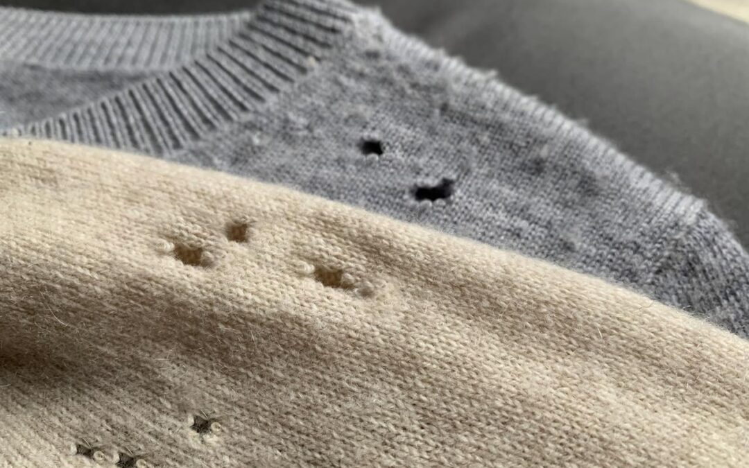 AUDIO Šibenske uspomene: ‘Tarac. Čudna je to beštijica. Uglavnom živi u ormaru i ide vunenu robu’