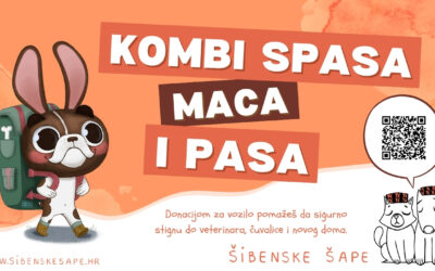 Počela kampanja “Kombi spasa maca i pasa”: Šibenske šape trebaju vozilo za hitnu pomoć napuštenim životinjama