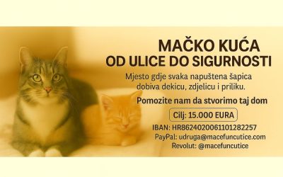 Akcija Maca Funcutica – Mačko kuća, sigurno utočište za napuštene mačke